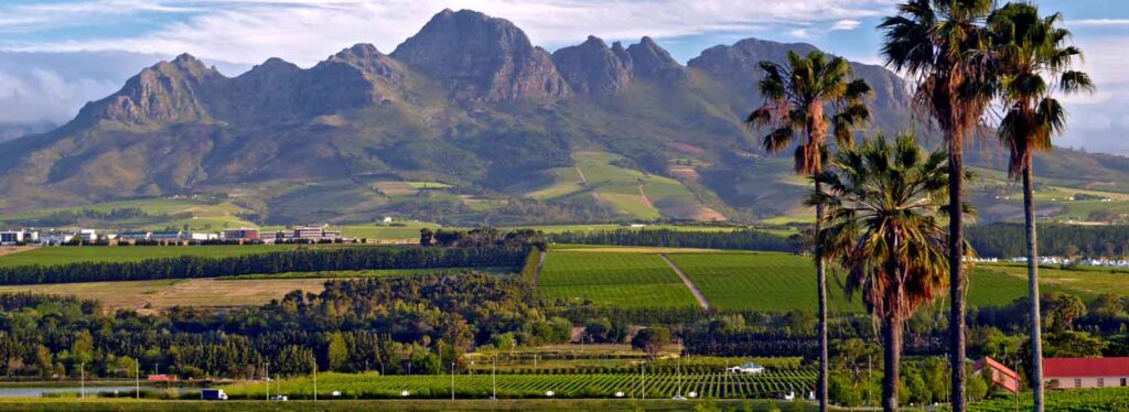 Scenic Stellenbosch Winelands vineyards and mountains on a wine tasting tour