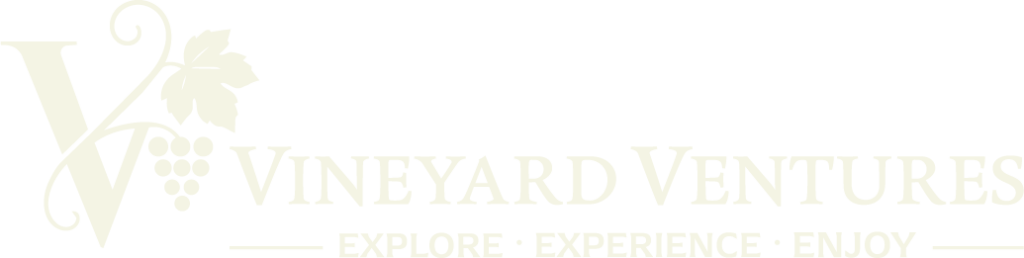 Vineyard Ventures Logo